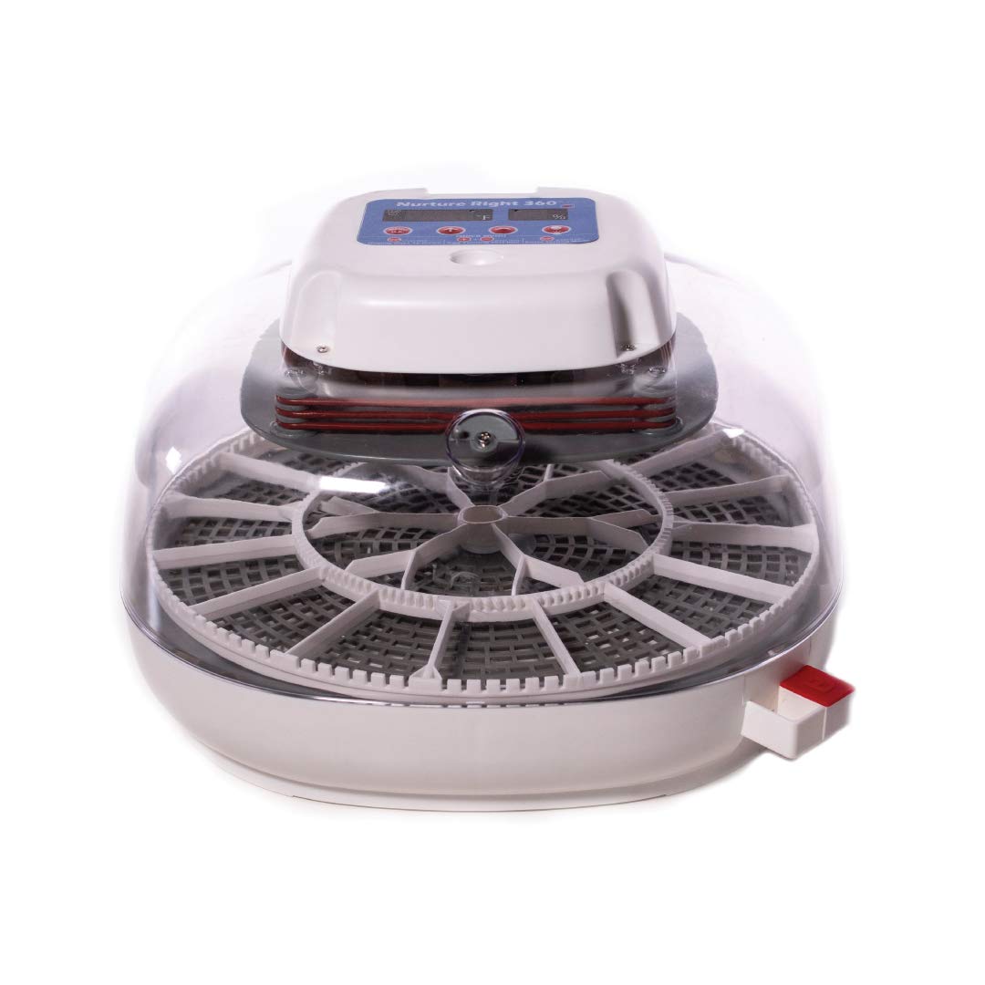 Manna Pro Harris Farms Nurture Right Egg Incubator with 360 Degree View for Hatching Chicks