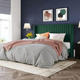Allewie Queen Velvet Platform Bed with Vertical Channel-Tufted Wingback Headboard, Strong Wooden Slats, No Box Spring Required, Easy Assembly, Black