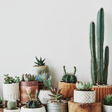 Pure Original Ingredients Potting and Garden Sand, 2 lb, for Planters and Soil Patches to Help Retain Moisture