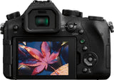 Panasonic Lumix DMC-FZ2500 Black Digital Camera with 20.1 MP Resolution and Ultra HD 4K Video