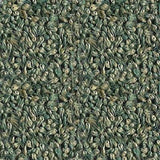 15 lbs. of Buffalo Grass Seed