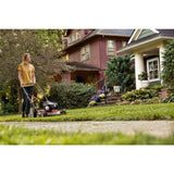 Troy-Bilt TB100 Walk-Behind Push Mower with Briggs and Straton Engine