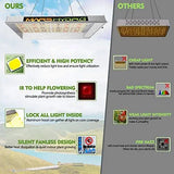 Mars Hydro TS 600W LED Grow Light for 2×2 ft Areas, Sunlike Full-Spectrum Lamp