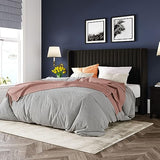 Allewie Queen Velvet Platform Bed with Vertical Channel-Tufted Wingback Headboard, Strong Wooden Slats, No Box Spring Required, Easy Assembly, Black