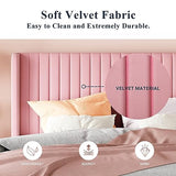Allewie Queen Velvet Platform Bed with Vertical Channel-Tufted Wingback Headboard, Strong Wooden Slats, No Box Spring Required, Easy Assembly, Black