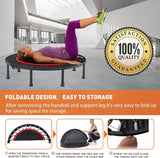 Trampoline Designed for Kids and Adults