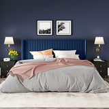 Allewie Queen Velvet Platform Bed with Vertical Channel-Tufted Wingback Headboard, Strong Wooden Slats, No Box Spring Required, Easy Assembly, Black