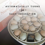 Manna Pro Harris Farms Nurture Right Egg Incubator with 360 Degree View for Hatching Chicks