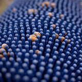 Bag-A-Nut 36×22 Small Acorn Picker Upper Push Collector