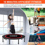 Trampoline Designed for Kids and Adults