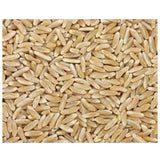 25-lb Bag of 100% Organic Kamut Berries from Bulk Grains