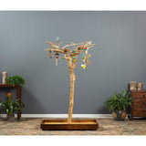 Prevue Pet Products Coffeawood Tree-Style Small Floor Stand, Style #2