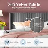 Allewie Queen Velvet Platform Bed with Vertical Channel-Tufted Wingback Headboard, Strong Wooden Slats, No Box Spring Required, Easy Assembly, Black