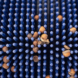 Bag-A-Nut 36×22 Small Acorn Picker Upper Push Collector