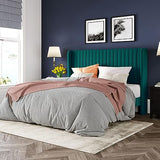 Allewie Queen Velvet Platform Bed with Vertical Channel-Tufted Wingback Headboard, Strong Wooden Slats, No Box Spring Required, Easy Assembly, Black