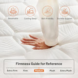 Queen 12-Inch Hybrid Mattress with Cooling Gel Memory Foam and Pocketed Coils, Medium-Firm Pressure Relief and Motion Isolation, Mattress in a Box with 365-Night Trial and 10-Year Warranty