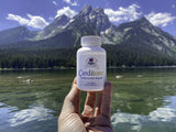 Ayush Herbs Carditone Herbal Supplement, Cardiovascular and Blood Pressure Support with 60 Tablets