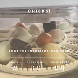 Manna Pro Harris Farms Nurture Right Egg Incubator with 360 Degree View for Hatching Chicks