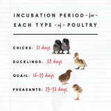 Manna Pro Harris Farms Nurture Right Egg Incubator with 360 Degree View for Hatching Chicks