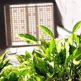 Mars Hydro TS 600W LED Grow Light for 2×2 ft Areas, Sunlike Full-Spectrum Lamp