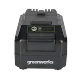 Greenworks 2949602AZ 24-Volt Lithium-Ion Battery