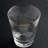 Silver Double Old Fashioned Glass Set with Metallic Split-P Rim Design