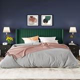 Allewie Queen Velvet Platform Bed with Vertical Channel-Tufted Wingback Headboard, Strong Wooden Slats, No Box Spring Required, Easy Assembly, Black