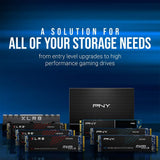 Data Storage CS2130 8TB M.2 NVMe Internal Solid State Drive, M280CS2130-8TB-RB