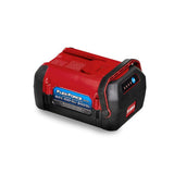Toro 60V Max Flex-Force Battery with 10Ah Capacity, Model 66810