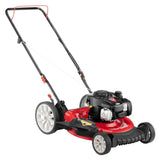 Troy-Bilt TB100 Walk-Behind Push Mower with Briggs and Straton Engine