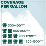 Insl-X WR102309A-01 Waterborne Semi-Gloss Pool Paint, Ocean Blue, 1 Gallon